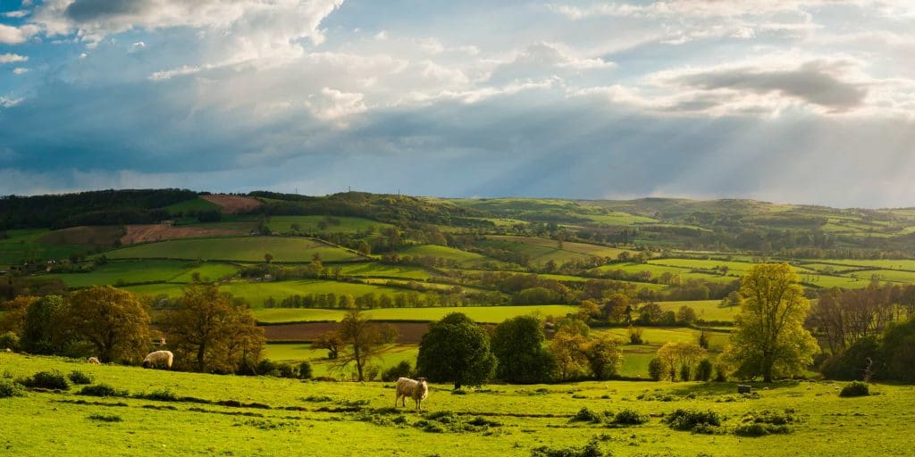 A scenic view of rolling green hills and patchwork fields under a partly cloudy sky, with sunlight streaming through clouds. Sheep graze on the grassy foreground, and trees dot the landscape.