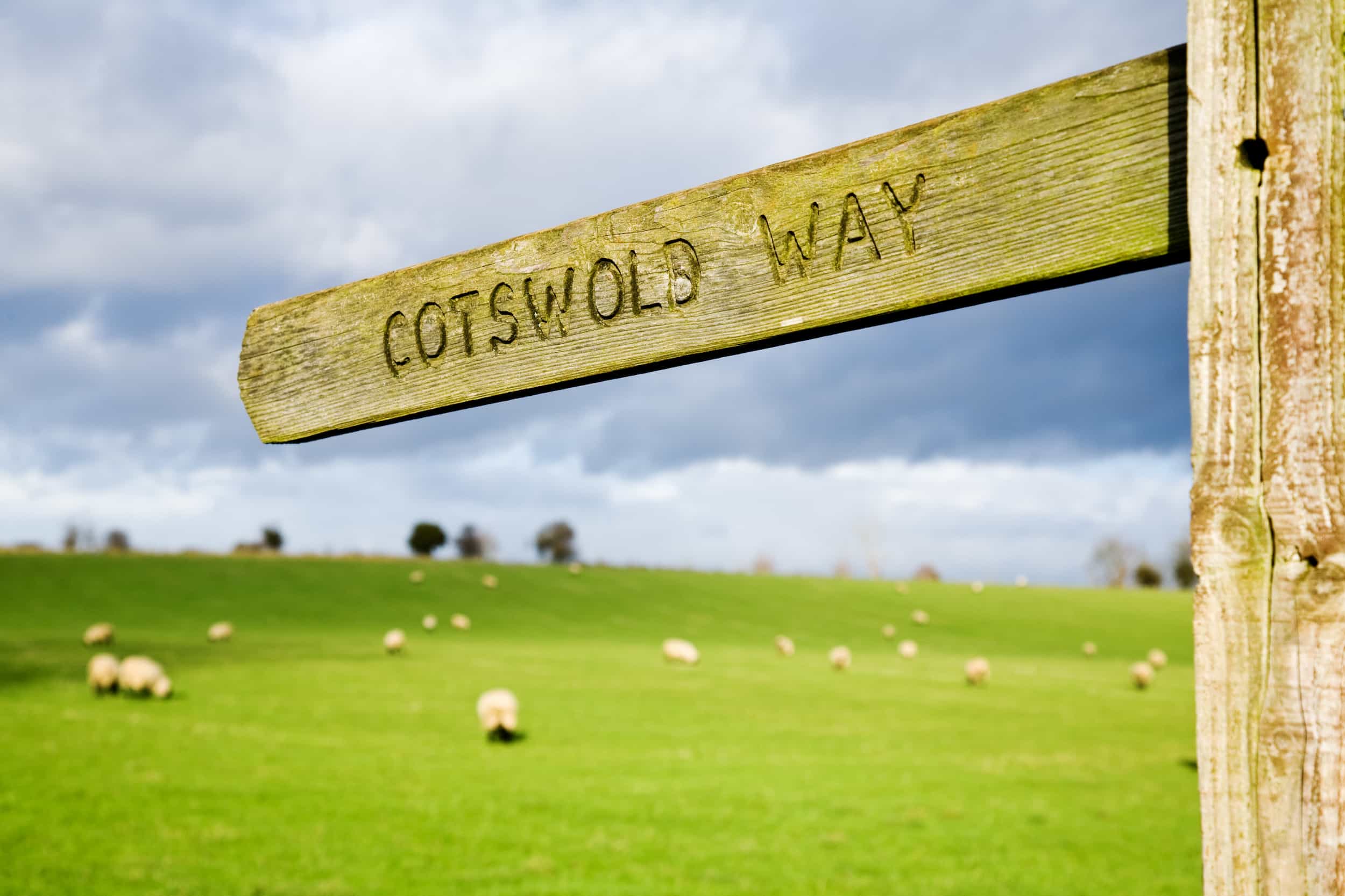A wooden signpost reading "Cotswold Way" stands in the foreground, with a lush green field and grazing sheep under a cloudy sky in the background.