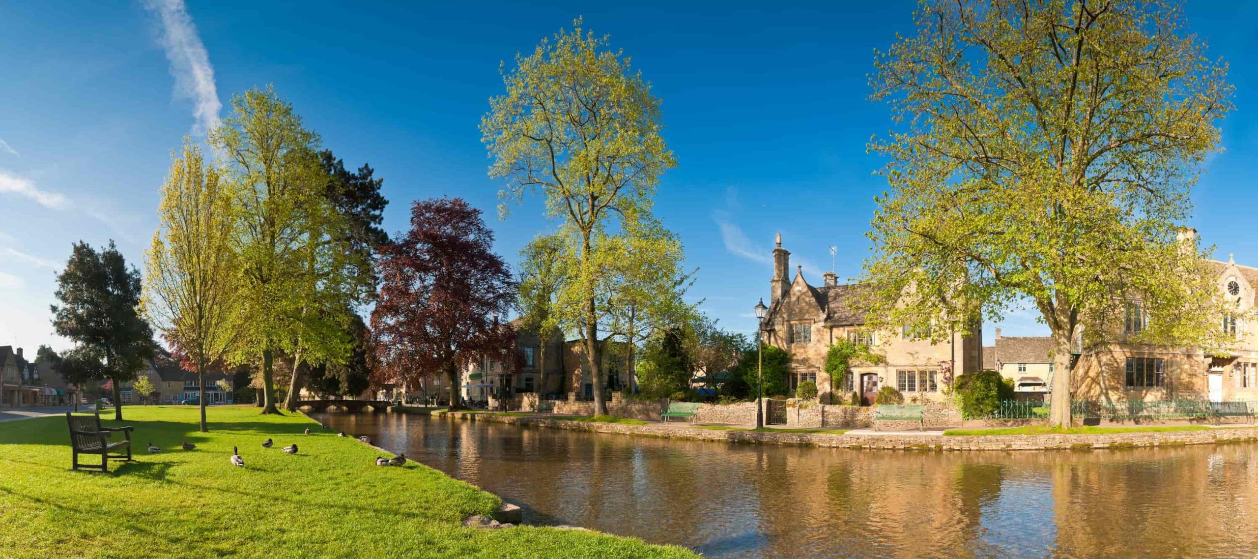 A peaceful riverside scene with ducks, a bench on green grass, large leafy trees, and stone buildings under a bright blue sky in a quaint village.