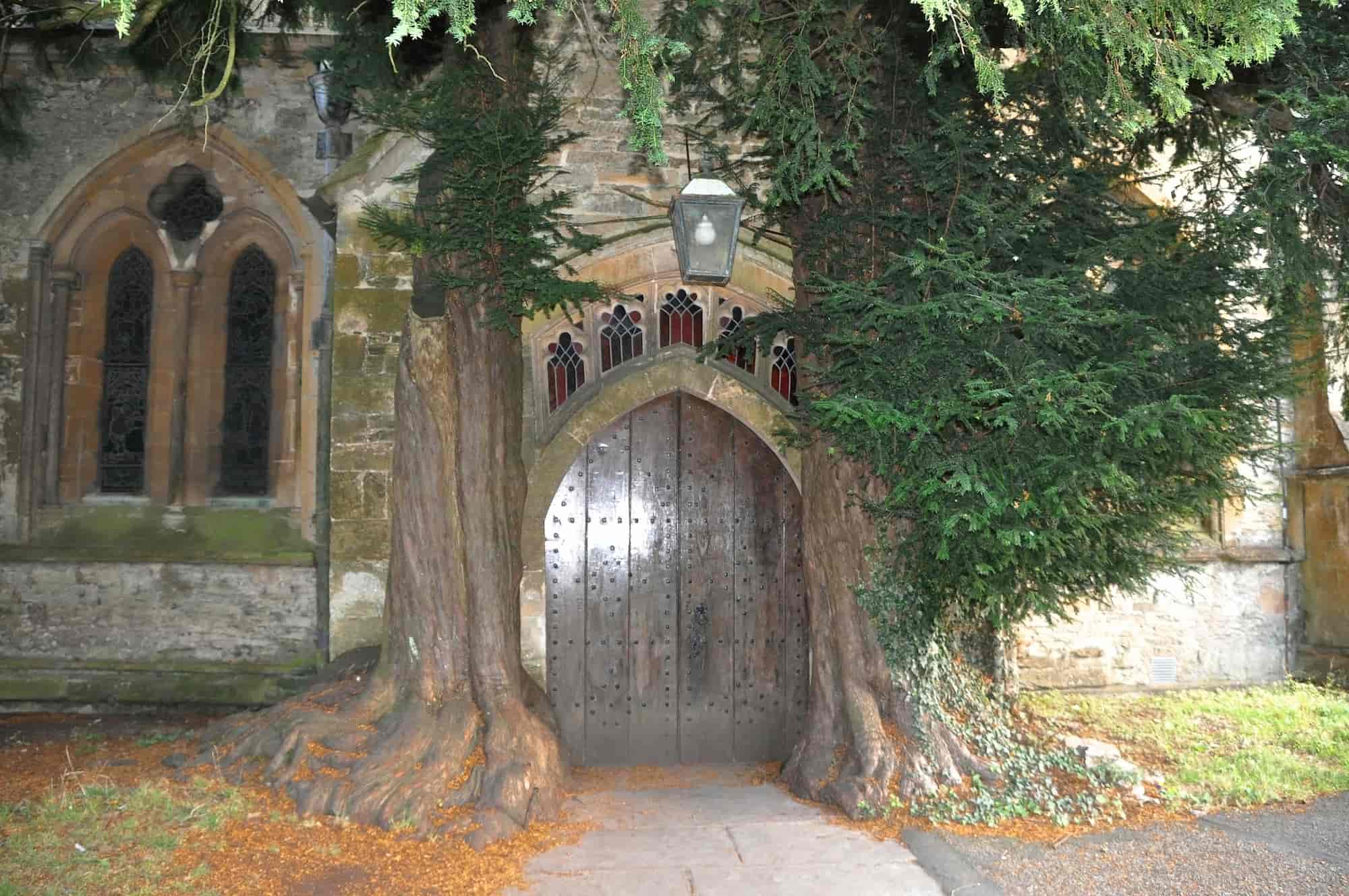 A large wooden door set in a stone building is framed by two thick tree trunks with leafy branches, creating a natural archway above the entrance.