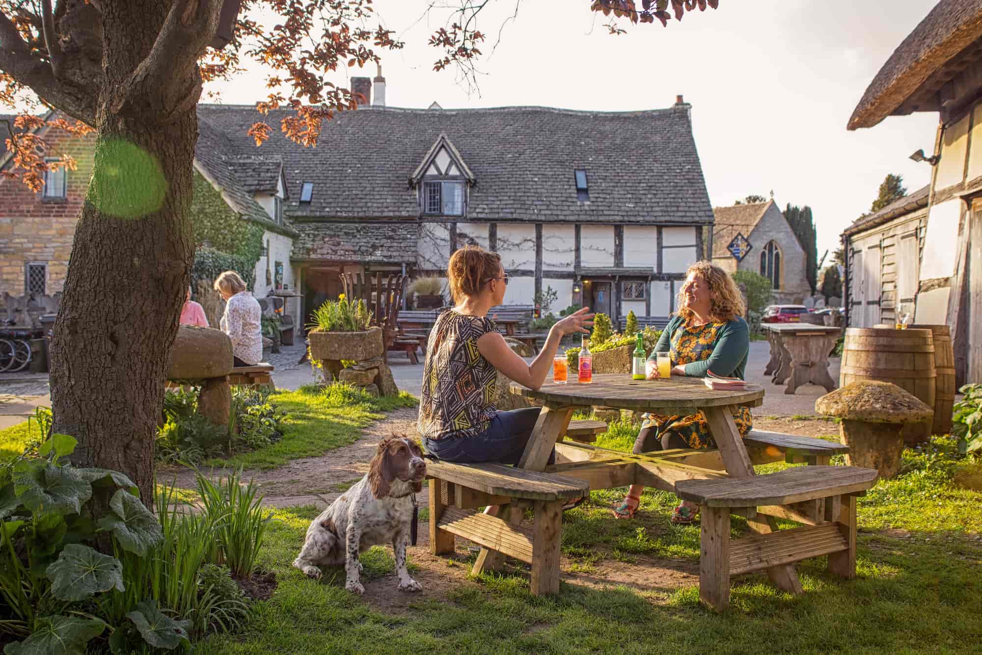 Two women sit at a wooden picnic table outside a rustic pub, enjoying drinks. A dog rests beside them, and other people are seated nearby. Sunlight filters through the trees, creating a warm, relaxed atmosphere.